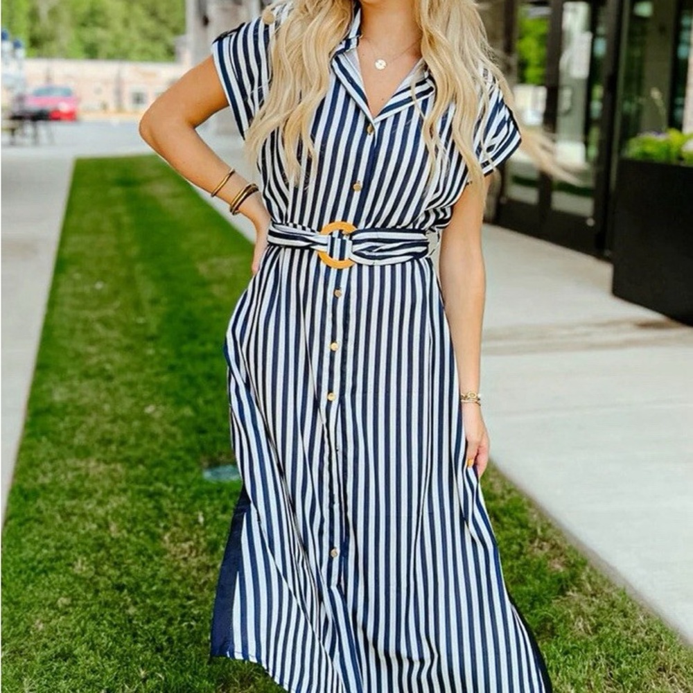 Zara Blue and White Buttoned Midi Sundress